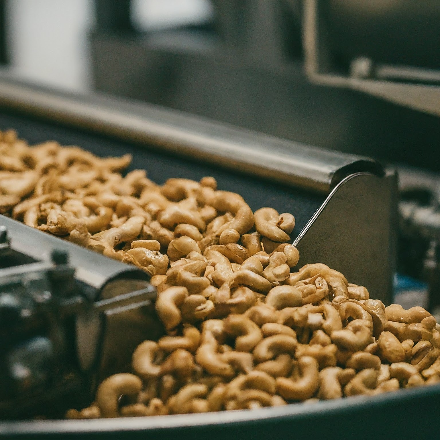 cashew machines